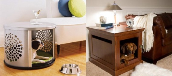 Design an Indoor Paradise for Your Dog 