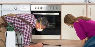 5 Ways to Protect Your Kitchen From Pests