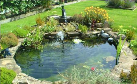 Decorate Your Garden with Water Features