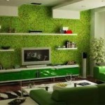 How to Maintain Eco-Friendly Wallpapers