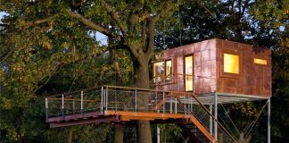 5 Tips for Building the Best Treehouse Ever
