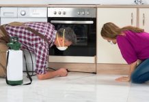 5 Ways to Protect Your Kitchen From Pests